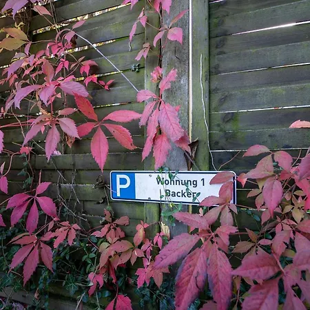 Der Seelord Kuestenliebe Daire *